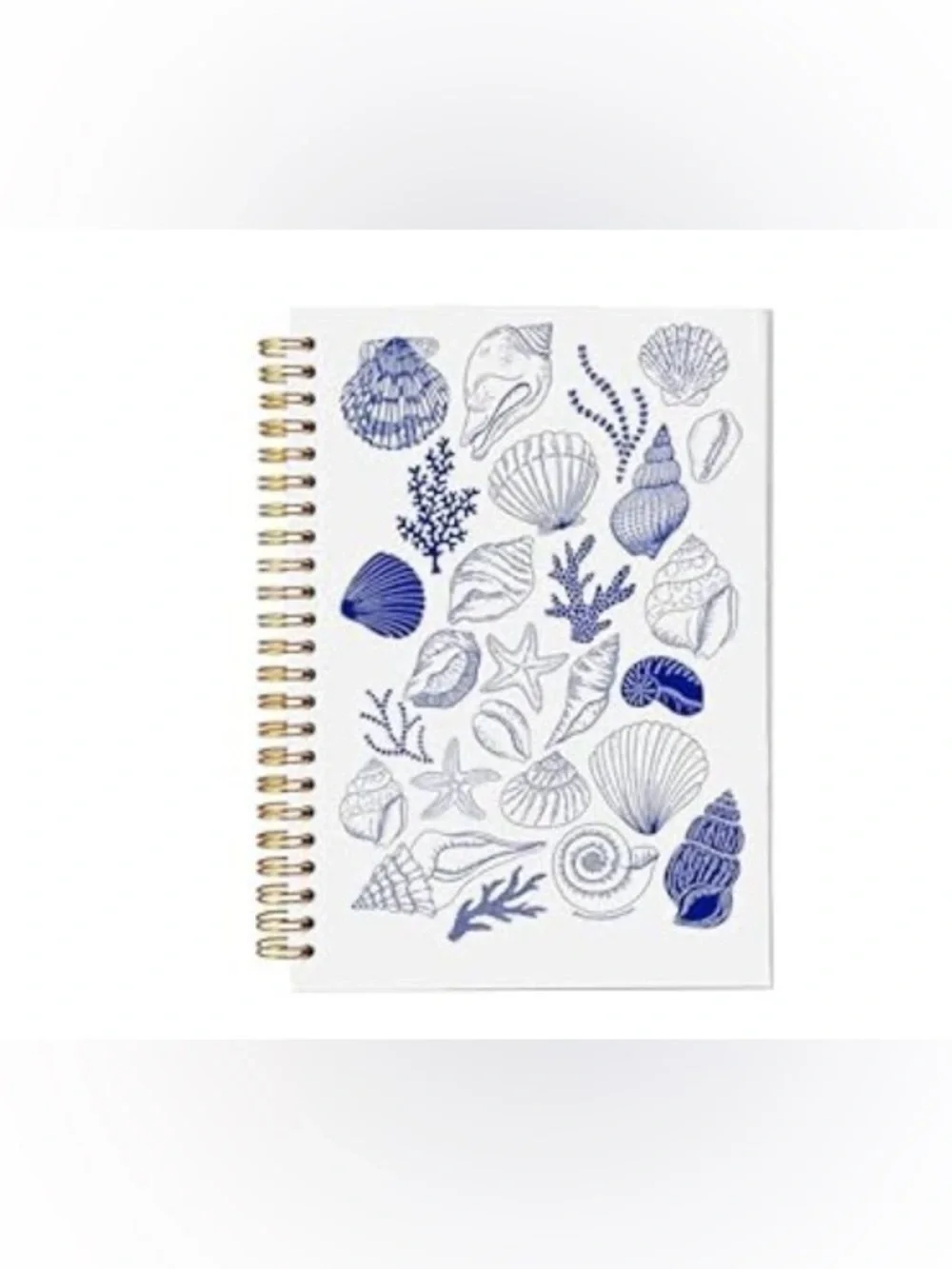 NWT Watercolor Seashell Lined Notebook, Ocean-Themed Journal